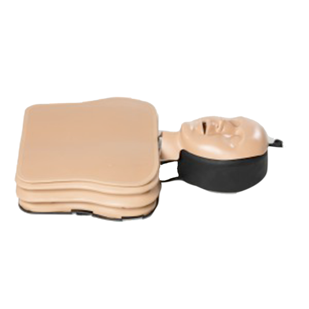 Mannequin de secourisme AmbuMan School Ambu®