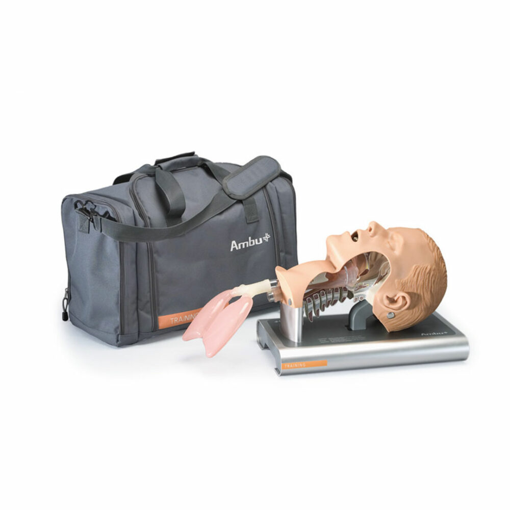 Airway Management Trainer Adult